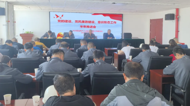工投公司黨委召開黨的建設(shè)、黨風(fēng)廉政建設(shè)、意識形態(tài)工作半年推進(jìn)會