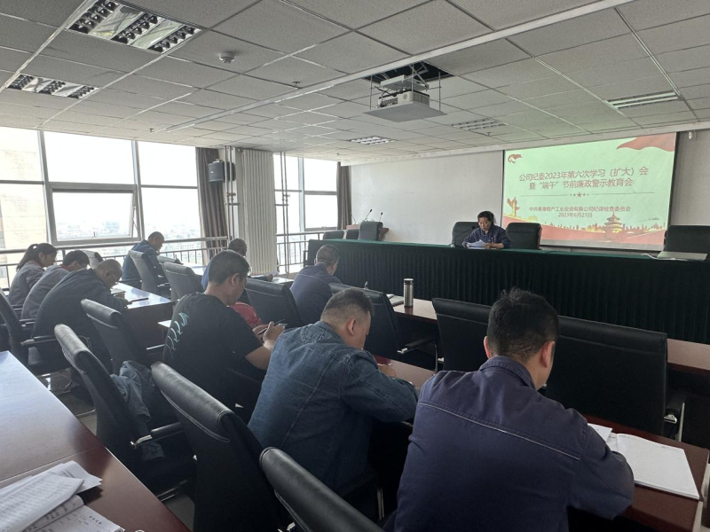公司紀(jì)委召開2023年第六次學(xué)習(xí)（擴(kuò)大）會暨&ldquo;端午&rdquo;節(jié)前廉政警示教育會
