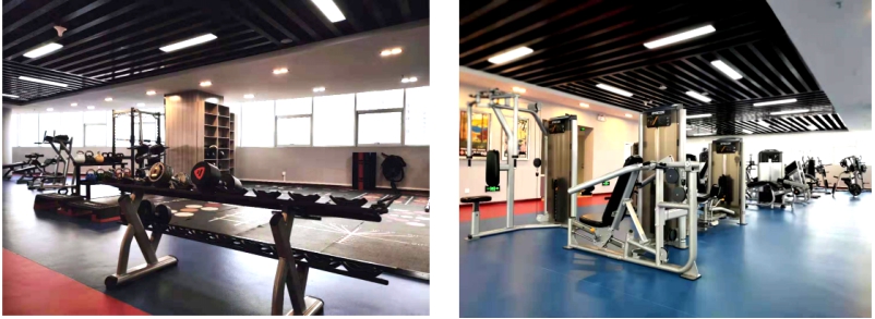 展運(yùn)動(dòng)風(fēng)采  鑄物產(chǎn)輝煌――&ldquo;青物集團(tuán)健身中心&rdquo;開始試營業(yè)